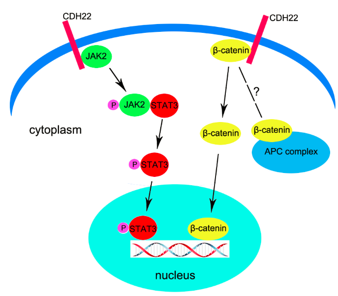 171031095510cf5.png 171031095510cf5.png