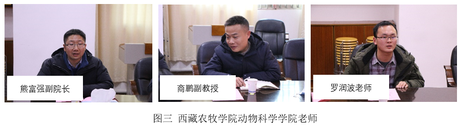 2101130428323f6.png 2101130428323f6.png