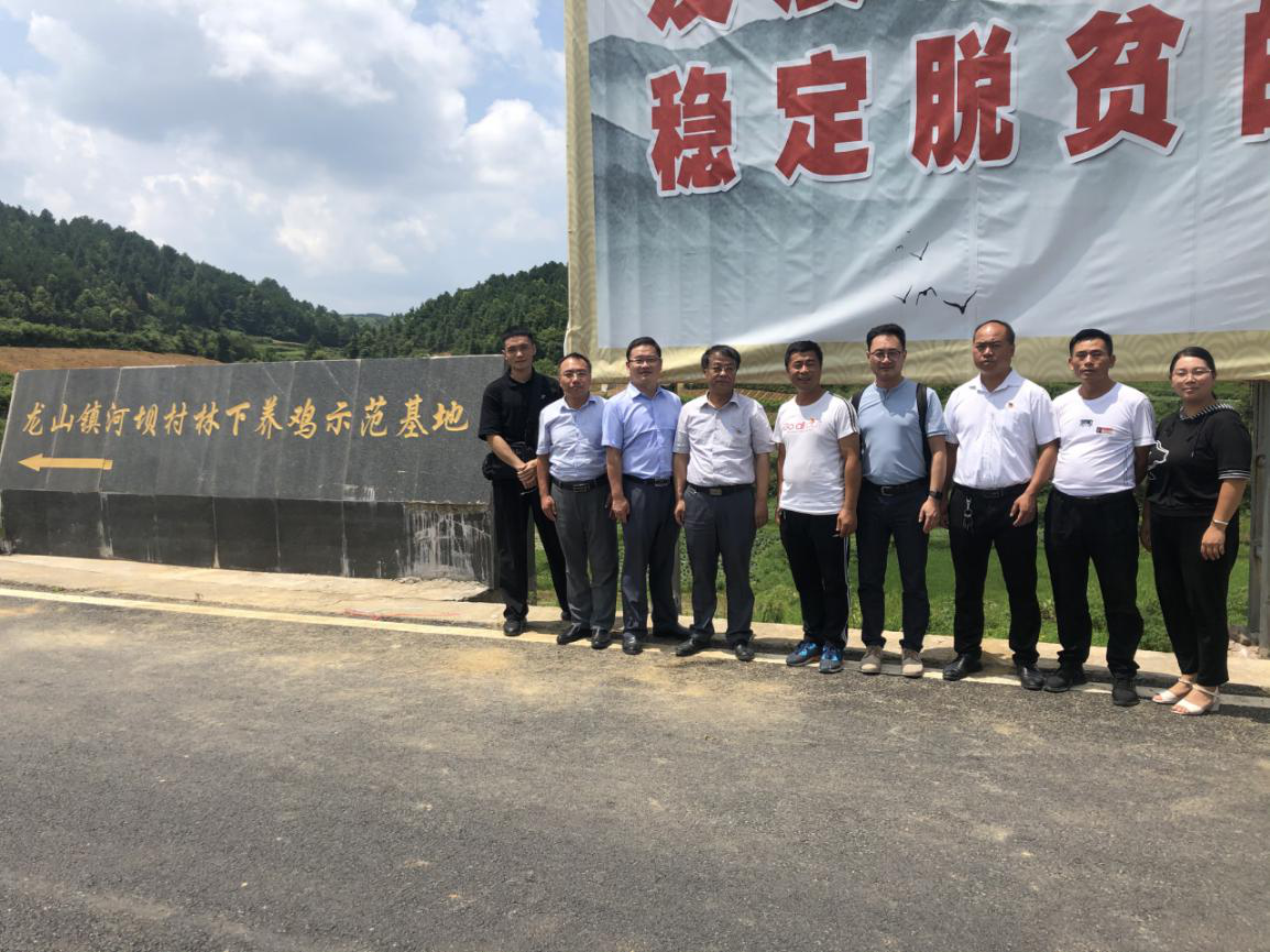 200805113214ede.png 200805113214ede.png